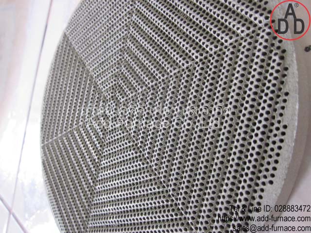 RG8 diameter 150mm ceramic honeycomb(7)